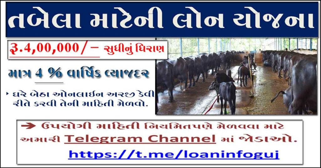 Tabela Loan Subsidy | Cow Tabela Loan in Gujarat | Tabela Loan in GUjarat 2022 | Dairy Loan Subsidy | Dairy Farm Loan Scheme | BUffalo Loan Scheme
